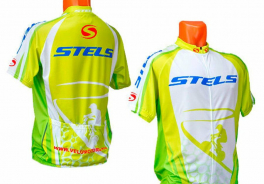 STELS