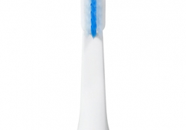 Asahi Irica