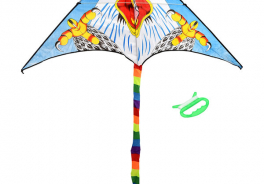 Boyscout