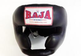Raja