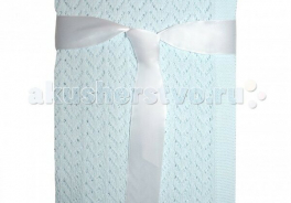 Dusty Miller