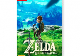 Nintendo