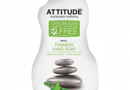 ATTITUDE