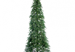 Max Christmas