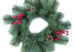 Max Christmas