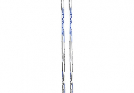 Spine