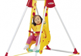 Haenim Toy