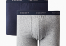 Ceceba