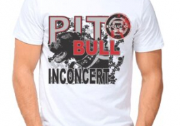 Pit Bull