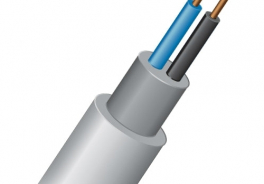 REXANT