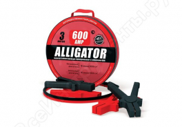 Alligator