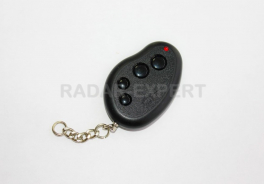 Black Bug