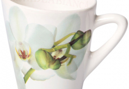 Ceramiche Viva