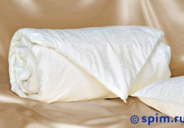 On Silk