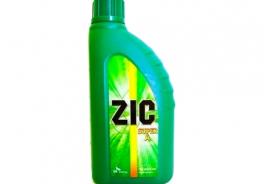 ZIC