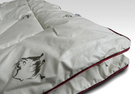 Ившвейстандарт