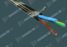 Abbey Road Cable