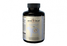 Anivital