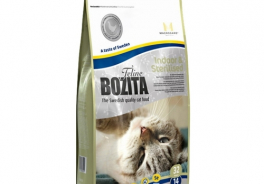 Bozita