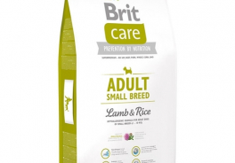 Brit