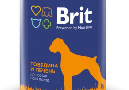 Brit