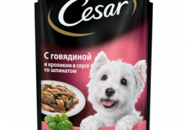 Cesar