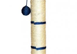 Darsi