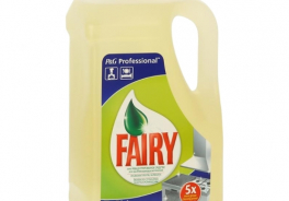 Fairy