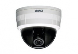 GANZ