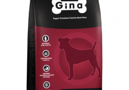 Gina