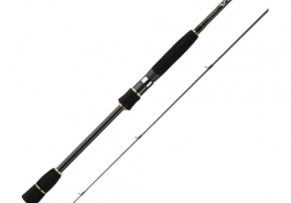 Graphiteleader