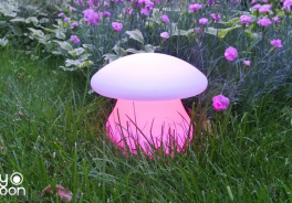 Jellymoon