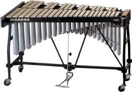 Ludwig
