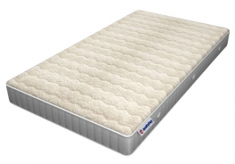 Mollyflex