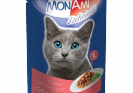 MonAmi