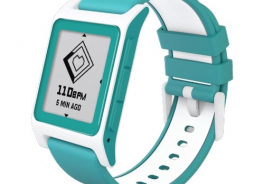 Pebble