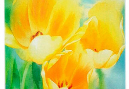 Pimpernel