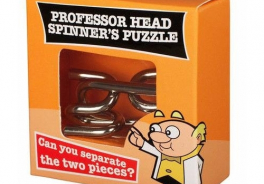 Professor Puzzle