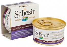 Schesir