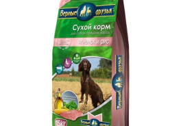 Верные друзья