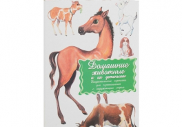 Маленький гений