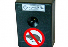 Цунами