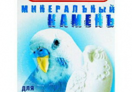 Чика