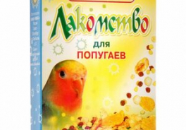 Чика