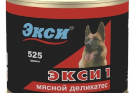 Экси