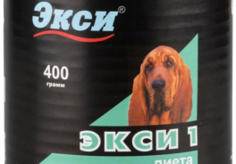 Экси