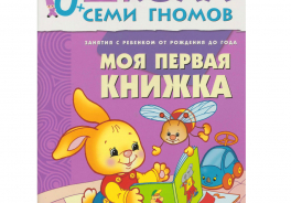 Школа семи гномов
