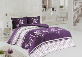 Asteria home