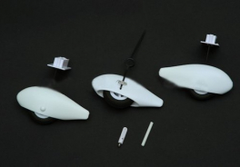 Dynam