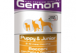 Gemon